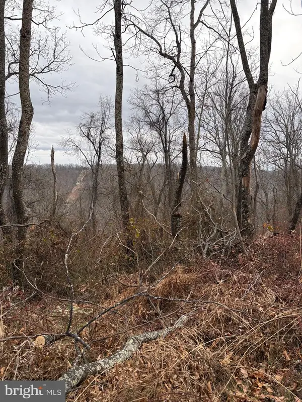 Pcl 19, Section 9 Dehaven Road, CAPON BRIDGE, WV 26711