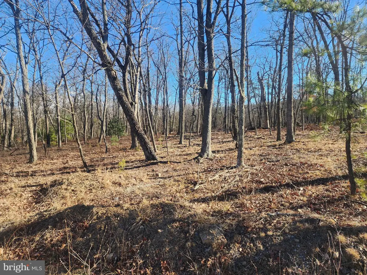 Lot-65 N Pioneer Ln, Augusta, WV 26704 - Image #1