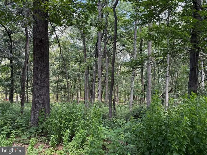 80 Cabin Road, Augusta, WV 26704 - #3