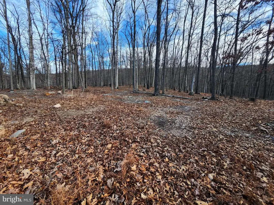 6376 Spring Gap Rd, Slanesville, WV 25444 - Image #3