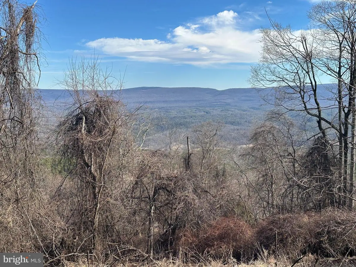 Lots # 35 & 117 River Ridge, Yellow Spring, WV 26865 - #1