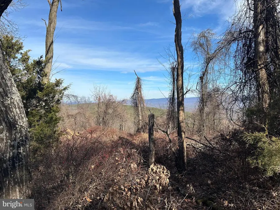 Lots # 35 & 117 River Ridge, Yellow Spring, WV 26865 - #3