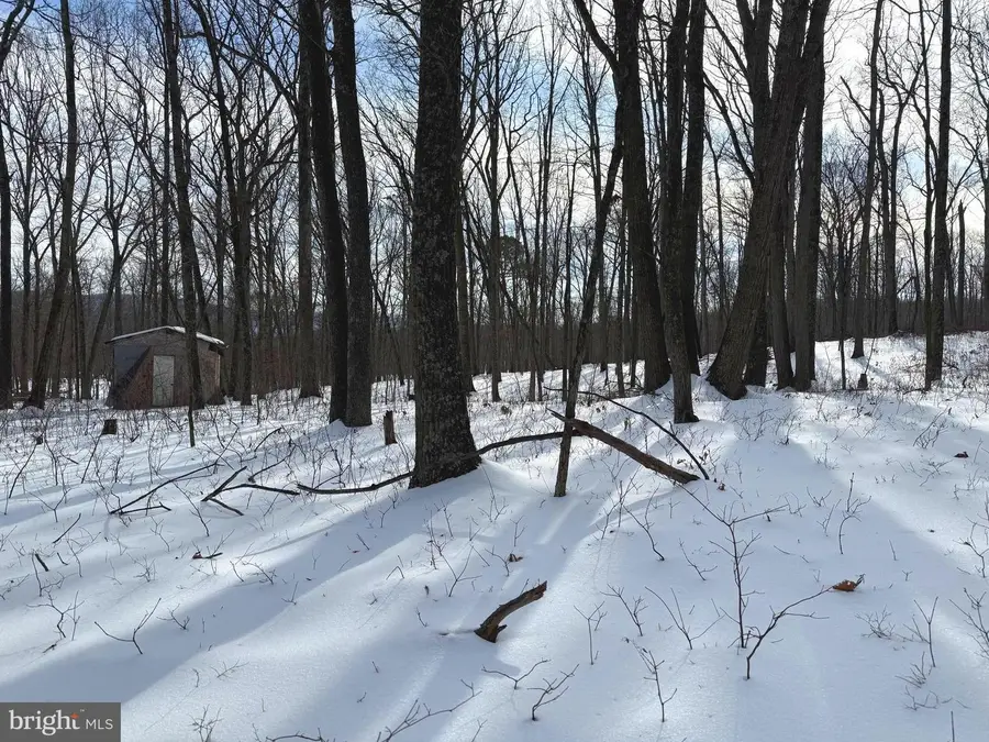 Lot 6 Pauls Woods Rd, Delray, WV 26714 - #3
