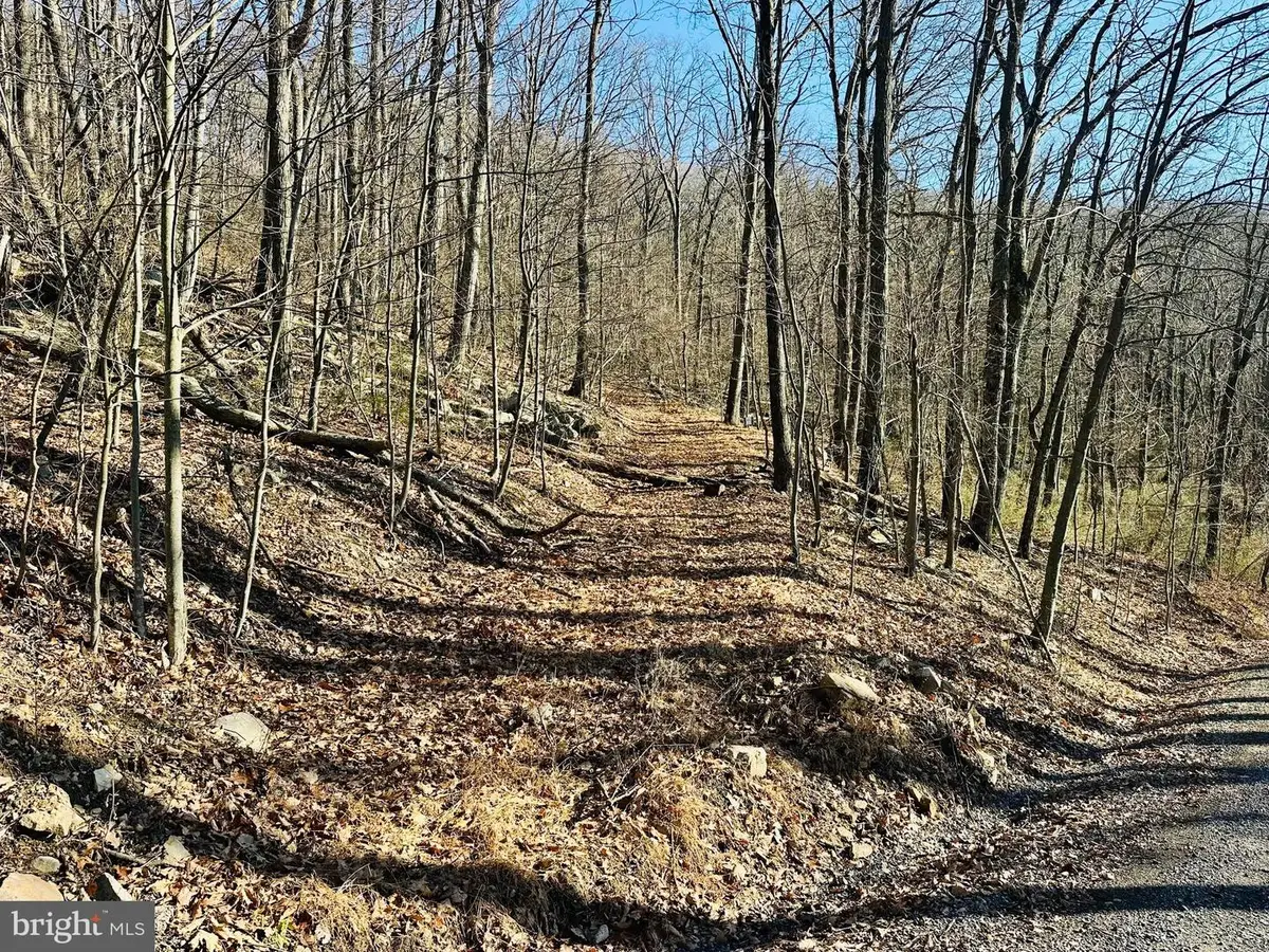 256 Lawyer Ln, Slanesville, WV 25444 - #1