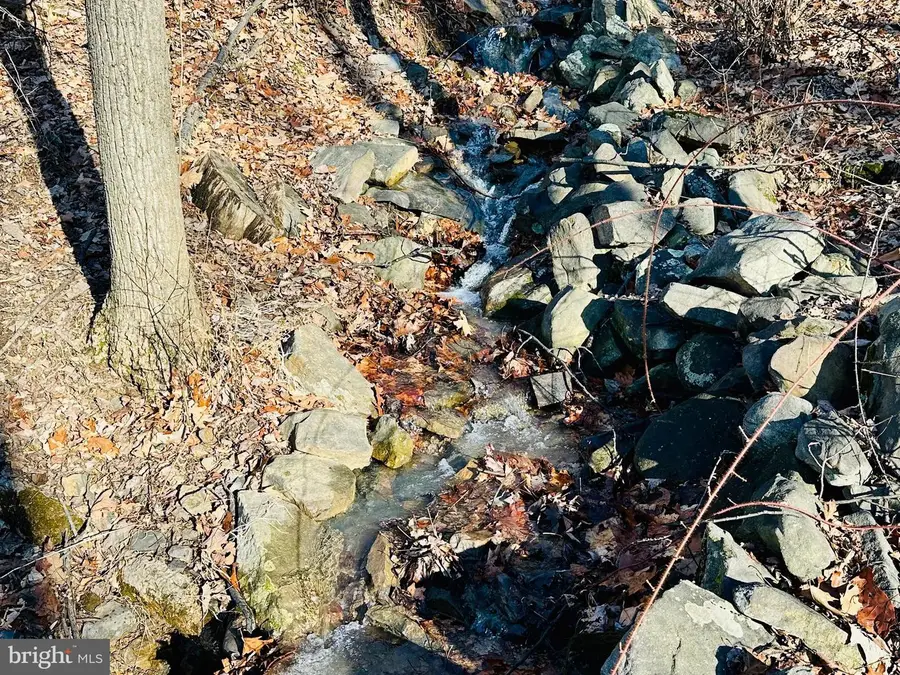 Lot 13 Sec 8 Lawyer Ln, Slanesville, WV 25444 - #2