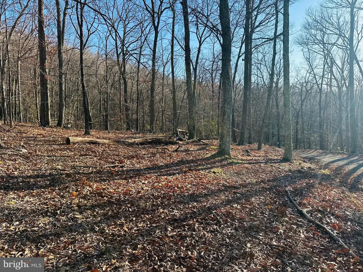 Lot 18 Sec 8 Butterfly Ln, Slanesville, WV 25444 - #1
