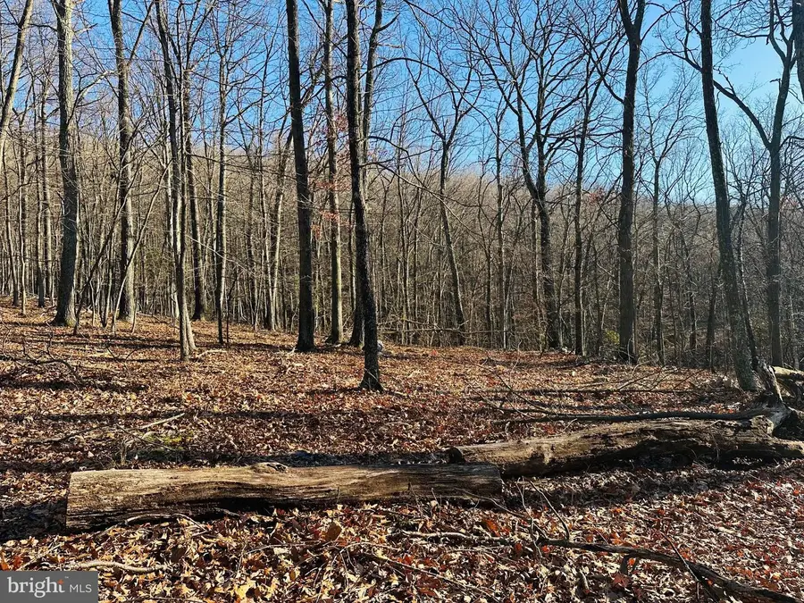 Lot 18 Sec 8 Butterfly Ln, Slanesville, WV 25444 - #3