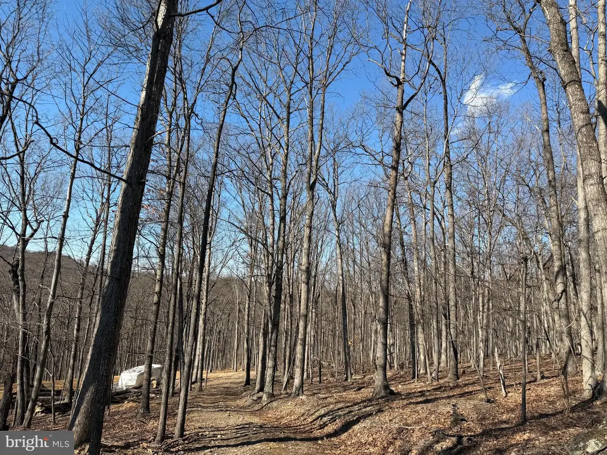 Goldsborough Rd, Springfield, WV 26763 - #1