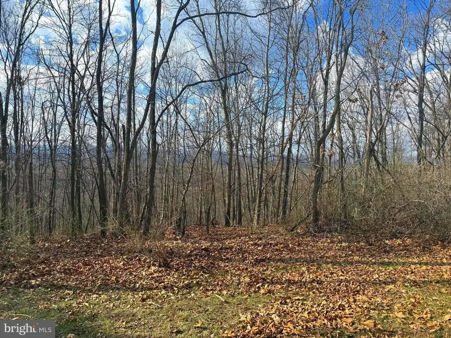 Lot 13-a Beam Rd., Romney, WV 26757 - #3