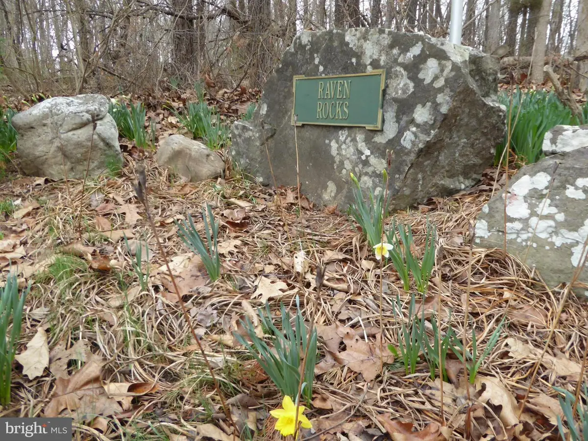 Lot 13 Fawn Dr, Springfield, WV 26763 - #1