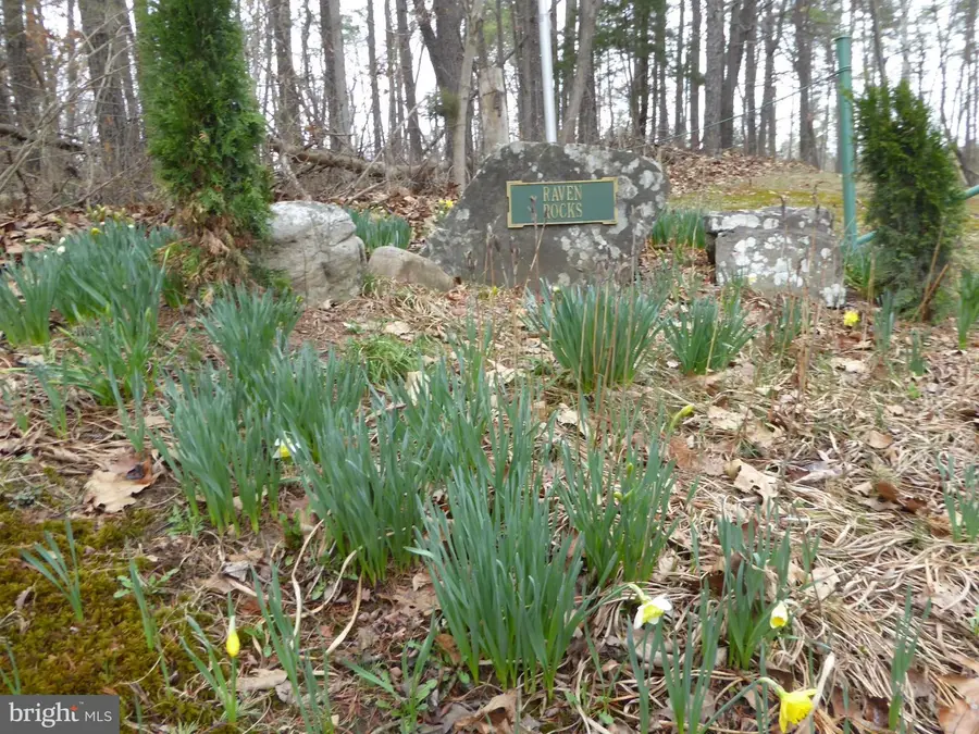 Lot 13 Fawn Dr, Springfield, WV 26763 - #2