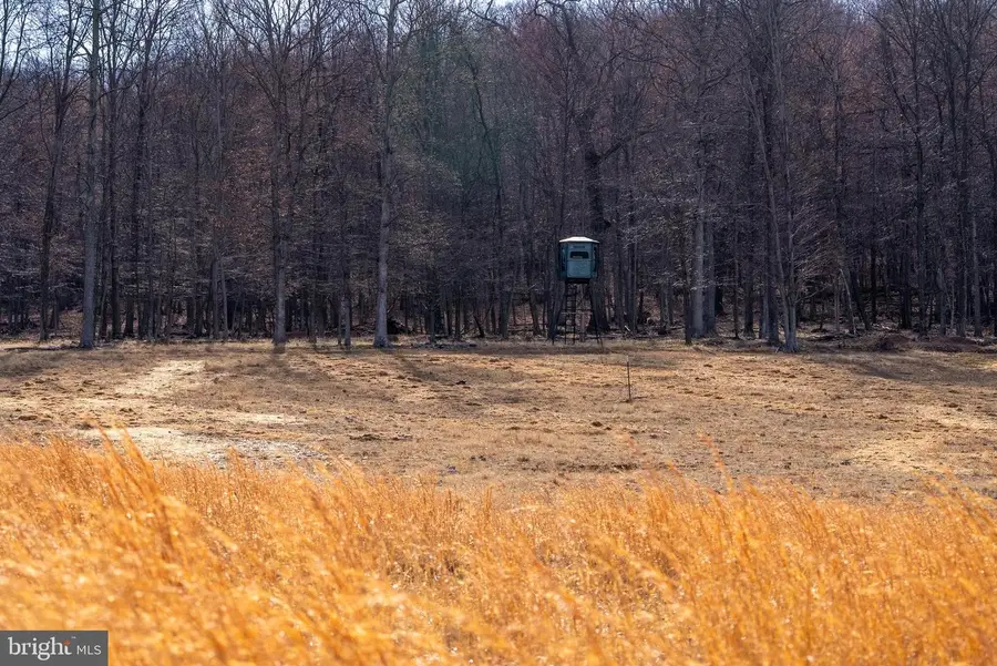 500 Lexington Dr, Romney, WV 26757 - #2