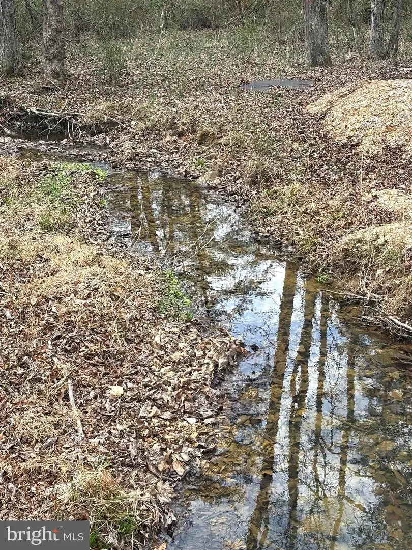 Dillions Run Road, Capon Bridge, WV 26711 - #3