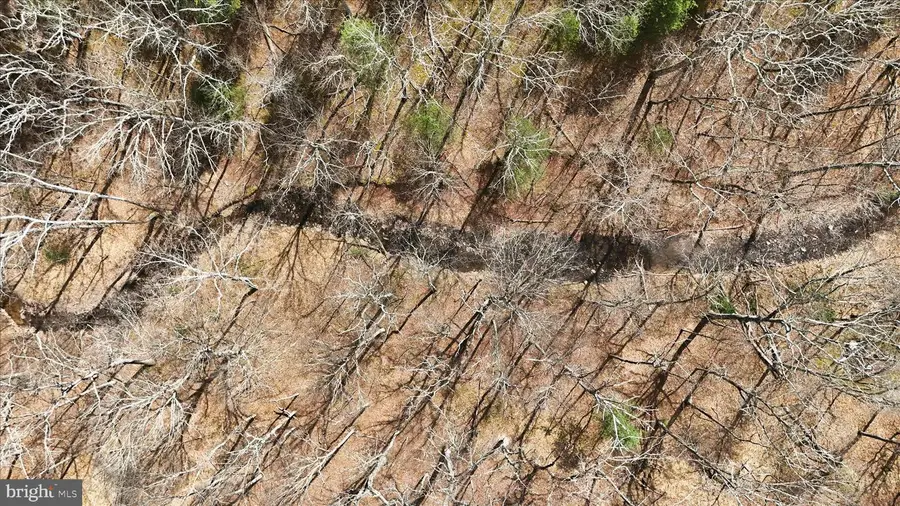 Lot 62 Phase 2 Crest Haven Rd, Romney, WV 26757 - #2