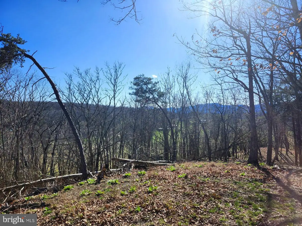 A.j. Kelley Road, Mill Creek, WV 26852 - #1