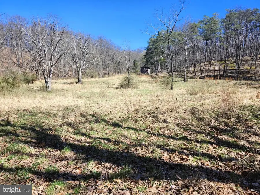 A.j. Kelley Rd, Purgitsville, WV 26852 - #2