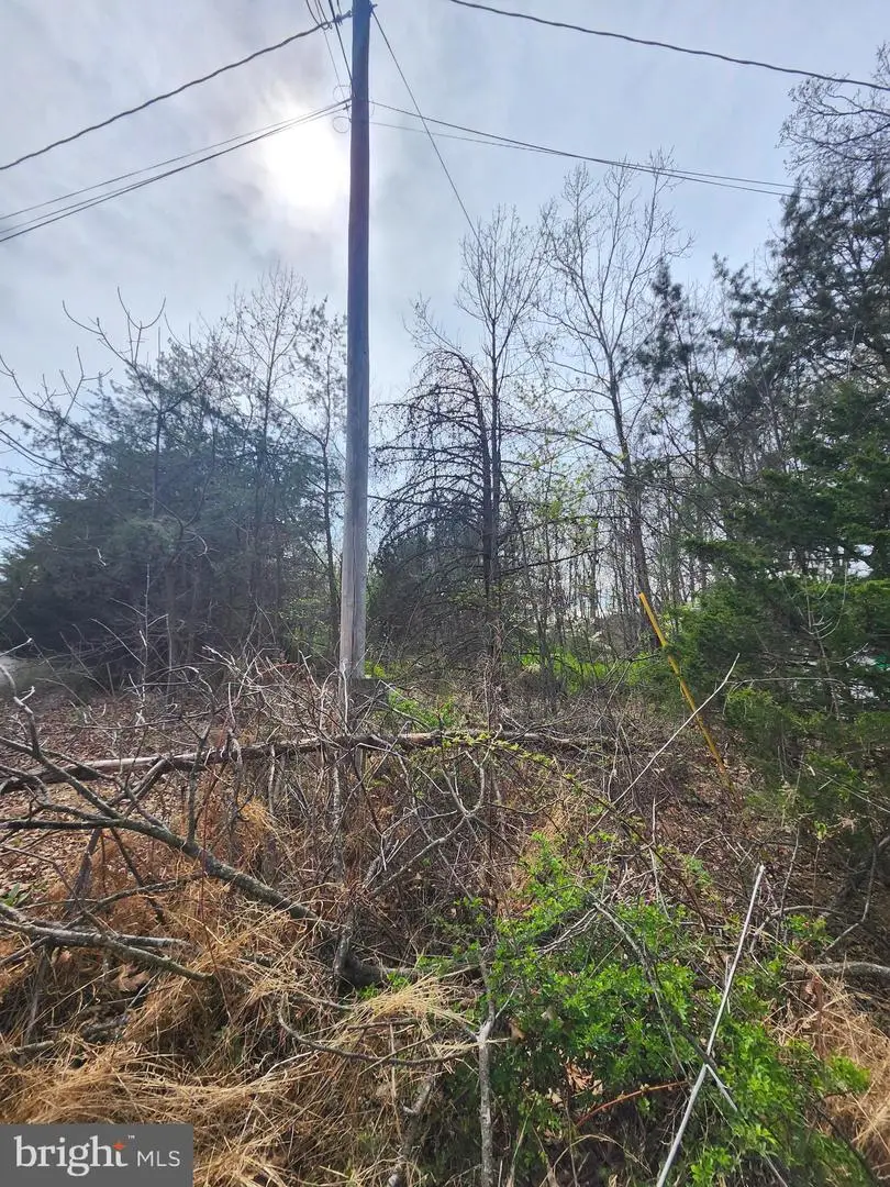 Lot 25 Shumac Trail, Augusta, WV 26704 - #2