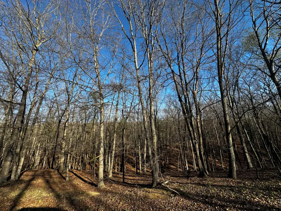 Crossings View Rd Rd, Paw Paw, WV 25434 - #3