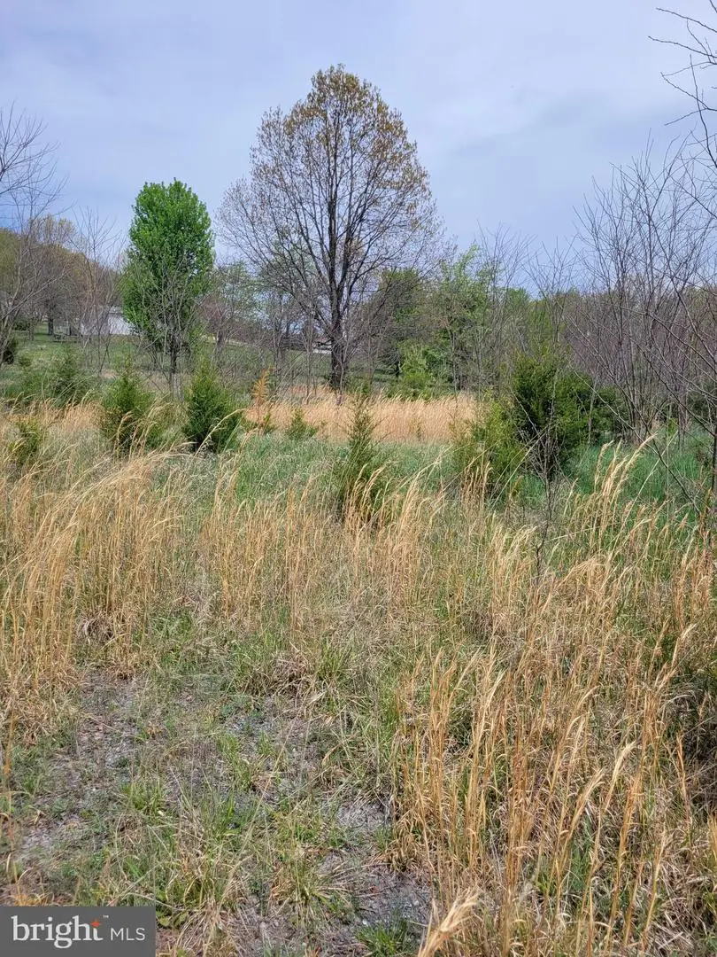 231 Stoney Apple Dr, Romney, WV 26757 - #2