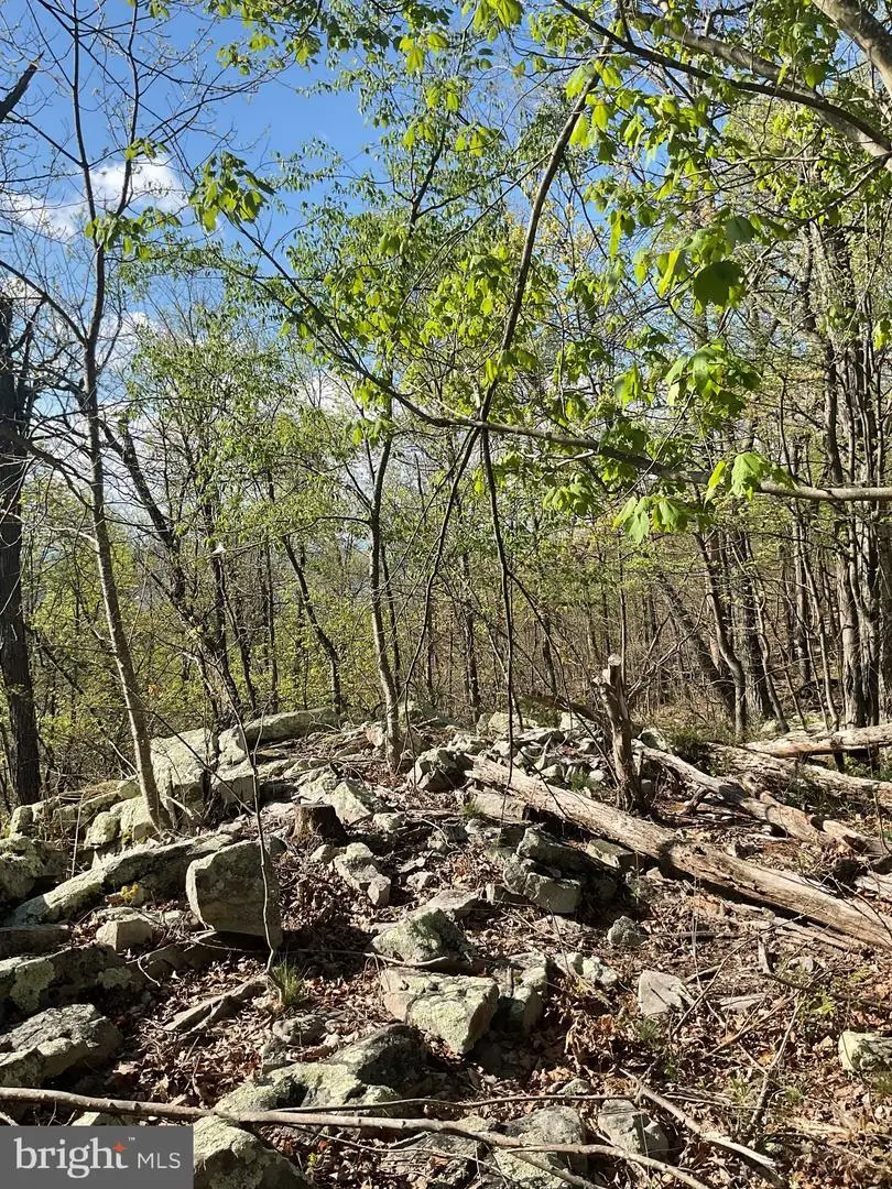 Lot 44a Mountain Top Rd, Paw Paw, WV 25434 - #3