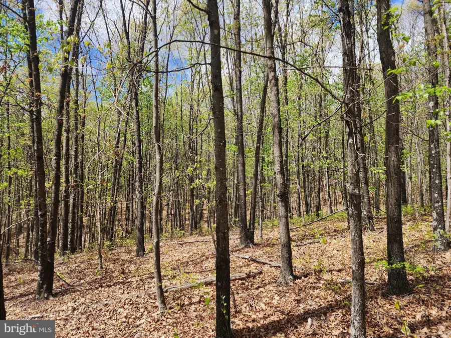 E Tillie Dr, Delray, WV 26714 - #2