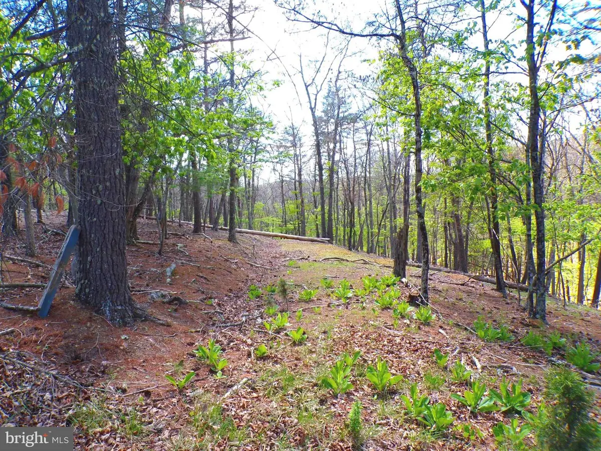 Lot 120 Crossings @ Cacapon, Paw Paw, WV 25434 - #1
