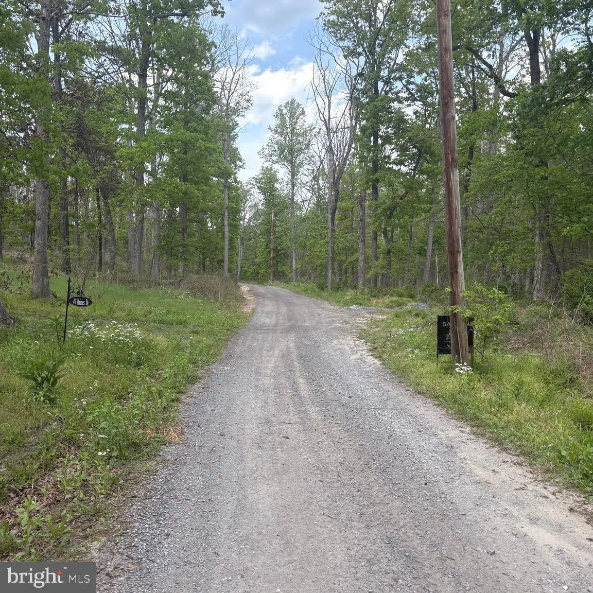 11-sec 6 Haines Dr, Capon Bridge, WV 26711 - #1