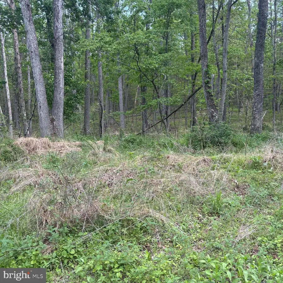 11-sec 6 Haines Dr, Capon Bridge, WV 26711 - #3