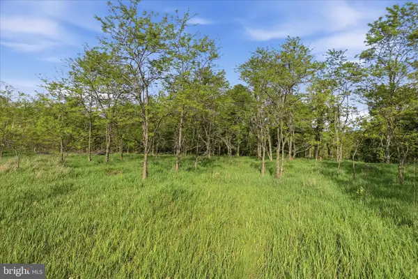 Nathaniel Drive, ROMNEY, WV 26757