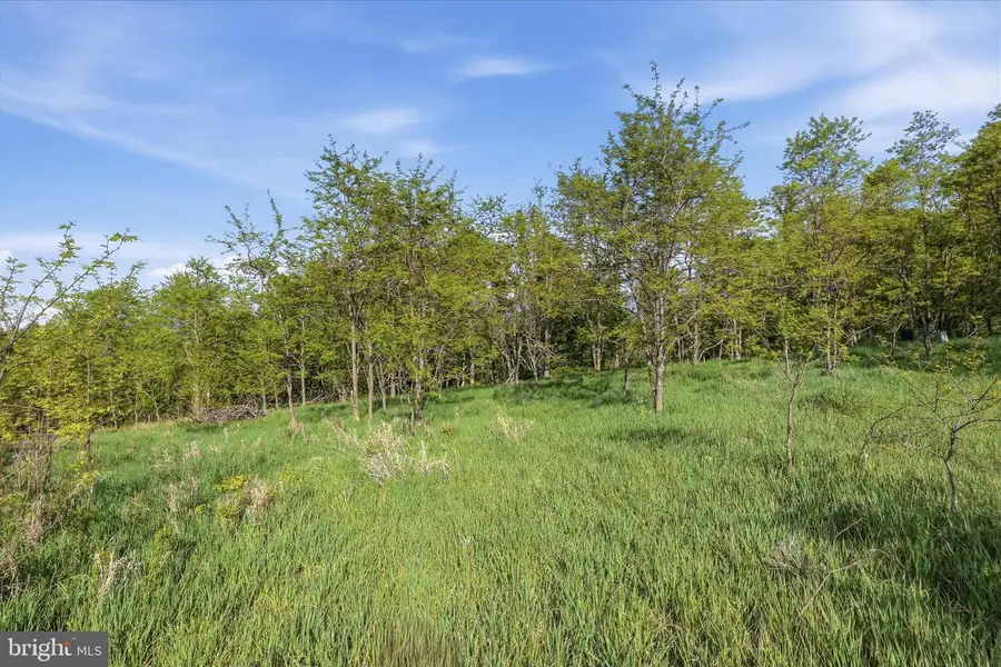 Nathaniel Drive, Romney, WV 26757 - #2