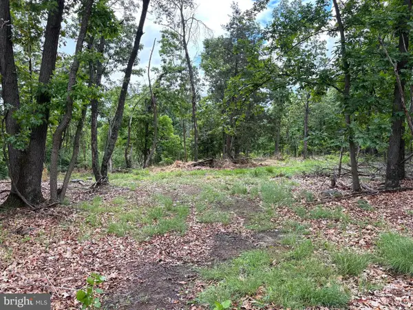 40.15 Ac Middle Ridge Road, ROMNEY, WV 26757
