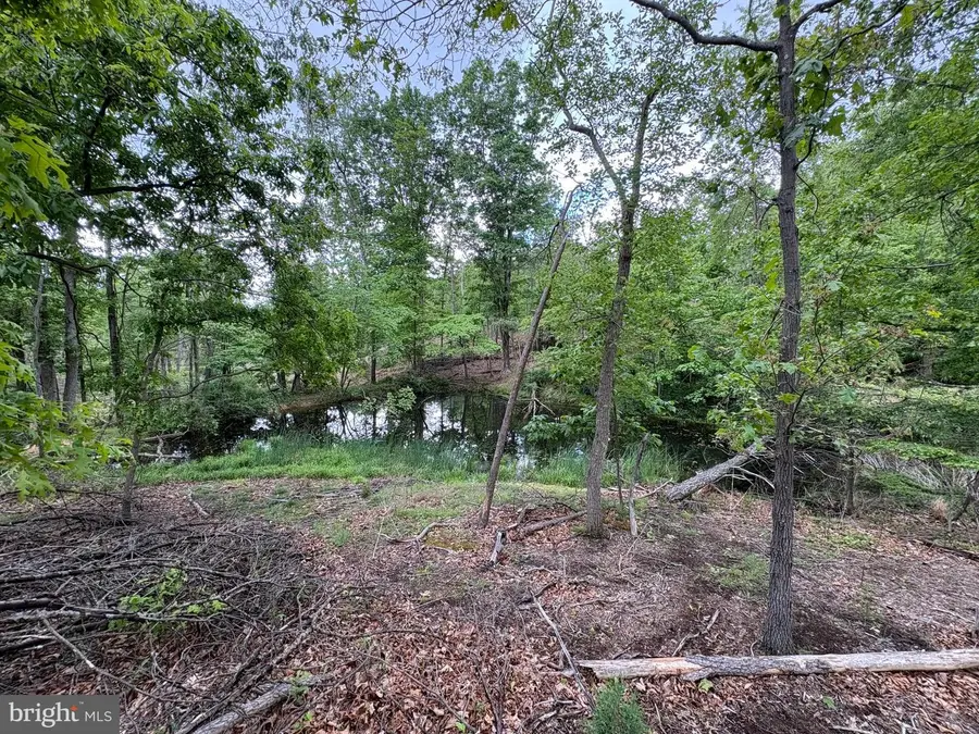 40.15 Ac Middle Ridge Road, Romney, WV 26757 - #3