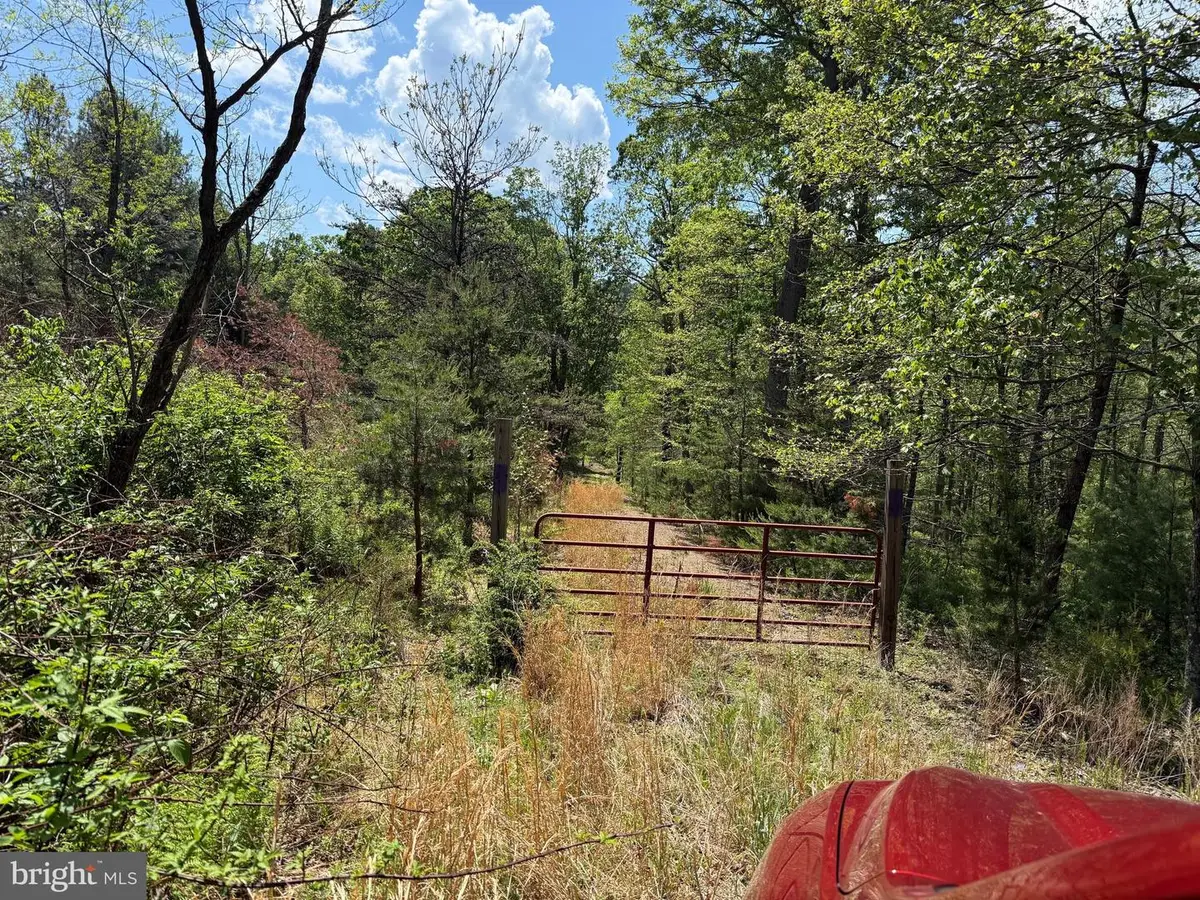 Lots 86, 87, 88 & 89 Doe Garden Drive, Yellow Spring, WV 26865 - #1