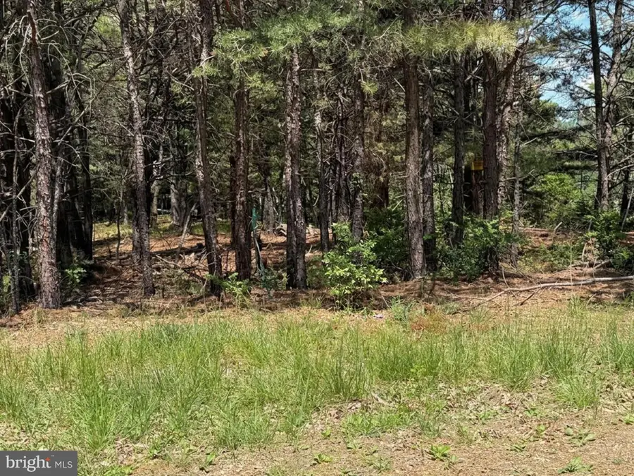 Lots 86, 87, 88 & 89 Doe Garden Drive, Yellow Spring, WV 26865 - #2