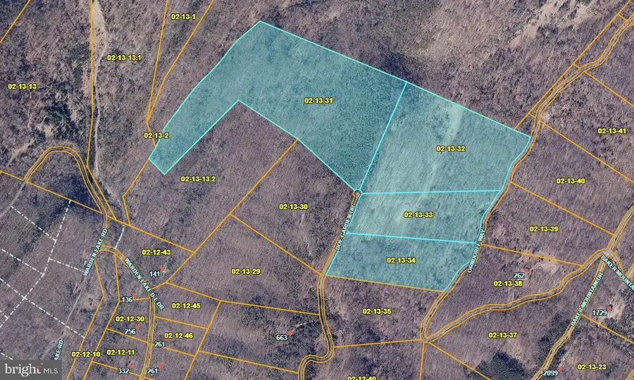 Lots 86, 87, 88 & 89 Doe Garden Drive, Yellow Spring, WV 26865 - #3