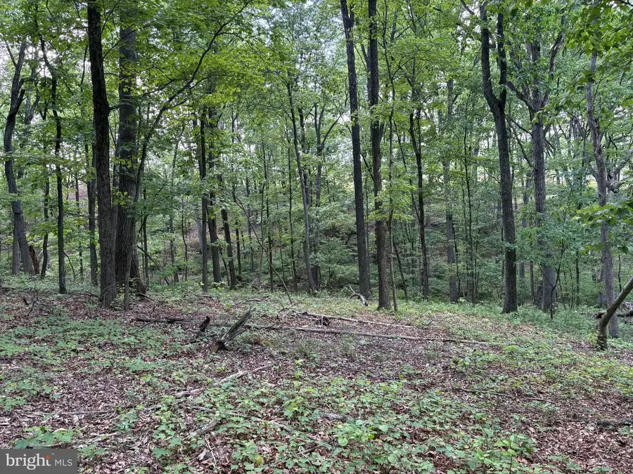 Lot 11 Rock Creek Trail, Augusta, WV 26704 - #3