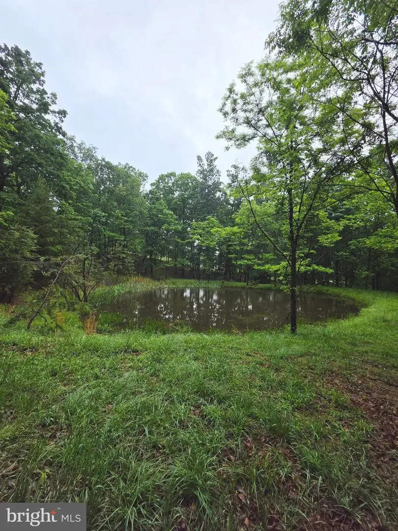 Lot 37 Bobcat Holw, Romney, WV 26757 - #3