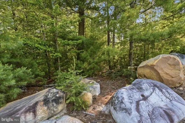 L7 Quaker Woods Ln, CAPON BRIDGE, WV 26711