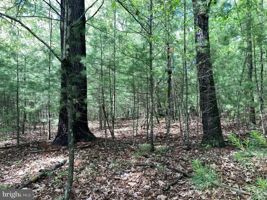 L7 Quaker Woods Ln, Capon Bridge, WV 26711 - #3