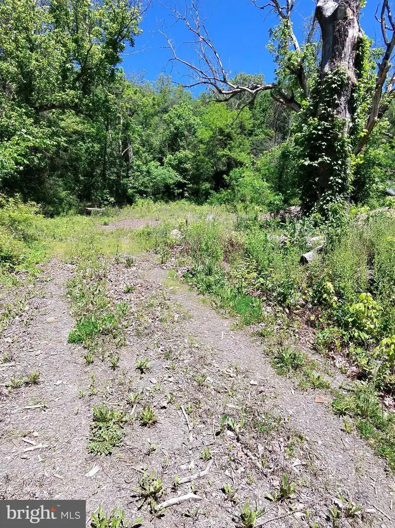 1461 Springfield Pike, Springfield, WV 26763 - #3