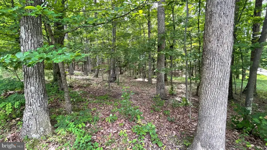 Lot 61 Bristol Springs Way, Slanesville, WV 25444 - #2