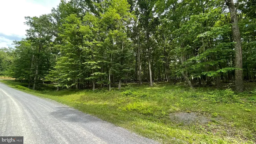 Lot 61 Bristol Springs Way, Slanesville, WV 25444 - #3