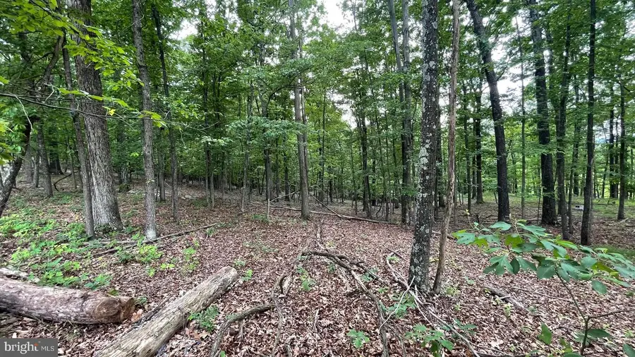 Lots 47-48-49 Bristol Ct, Slanesville, WV 25444 - #2