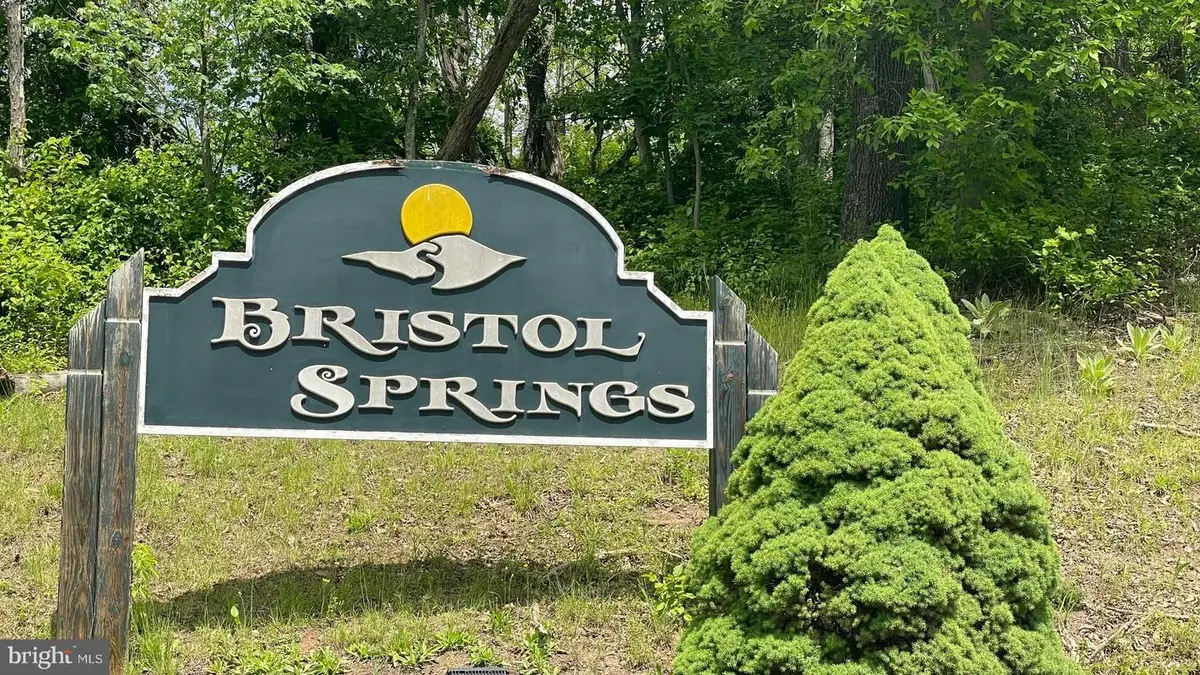 Lots 19-20 Bristol Springs Way, Slanesville, WV 25444 - #1