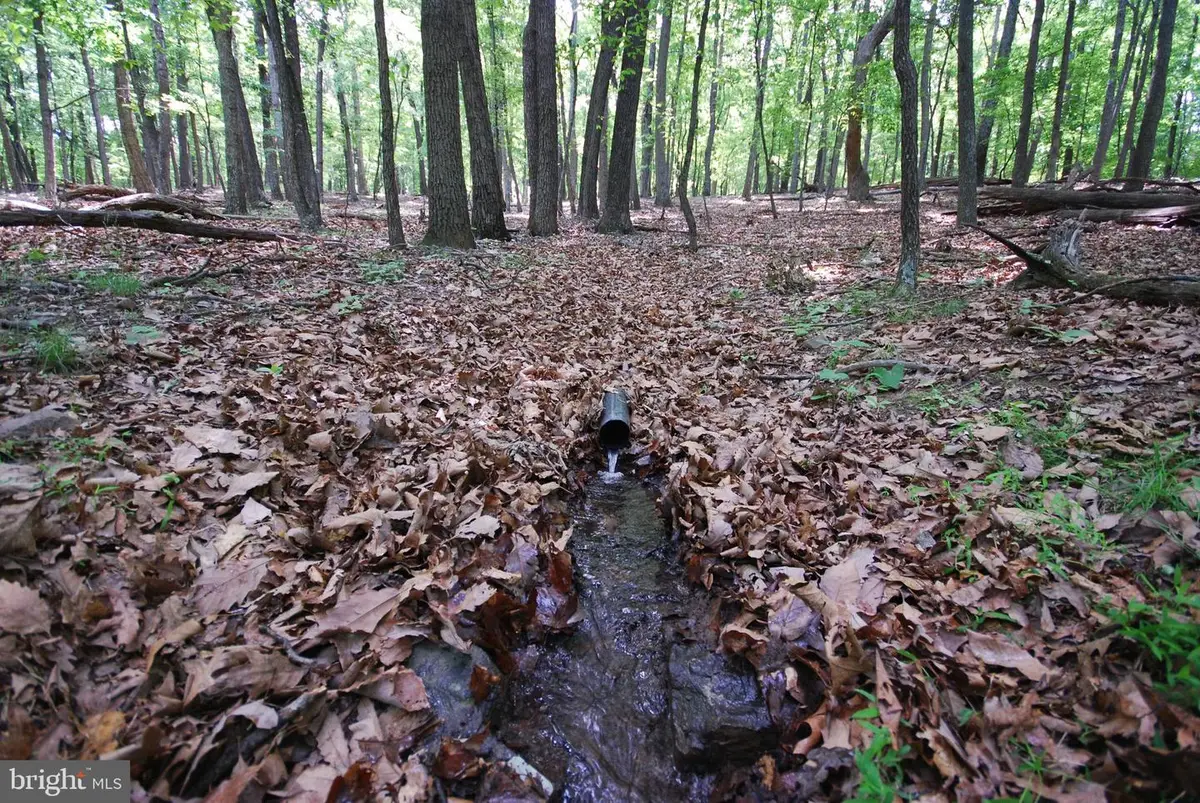 Lot 67 Mill Mountain Rd, Romney, WV 26757 - #1