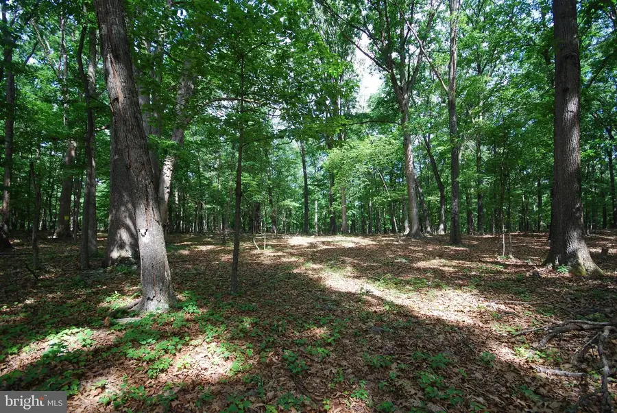 Lot 67 Mill Mountain Rd, Romney, WV 26757 - #3