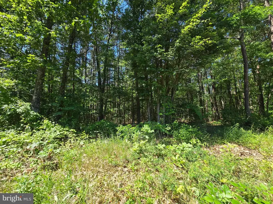 186 Big Oak Dr, Points, WV 25437 - #2