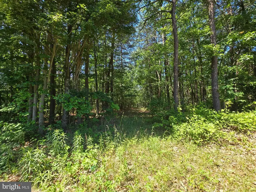 186 Big Oak Dr, Points, WV 25437 - #3