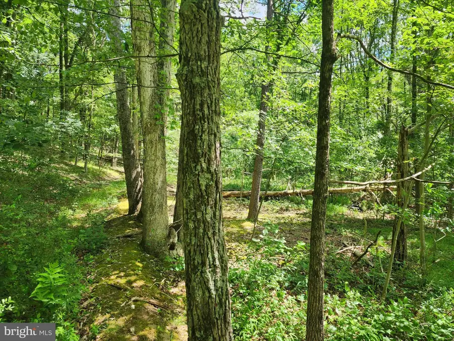 Lot 1 Nathaniel Mountain Heights, Romney, WV 26757 - #2