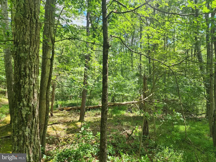 Lot 1 Nathaniel Mountain Heights, Romney, WV 26757 - #3